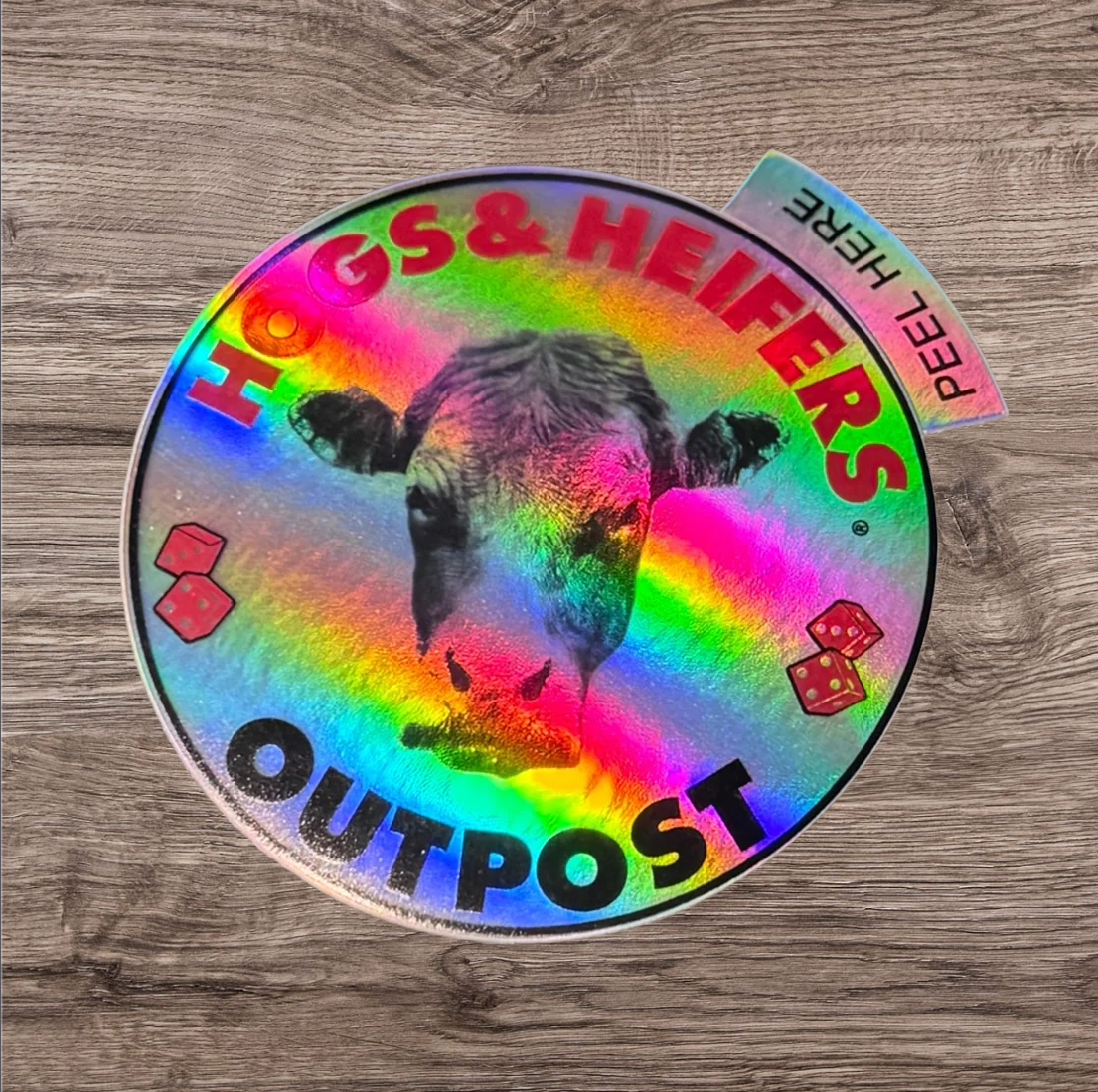 OUTPOST HOLOGRAPHIC LOGO STICKER
