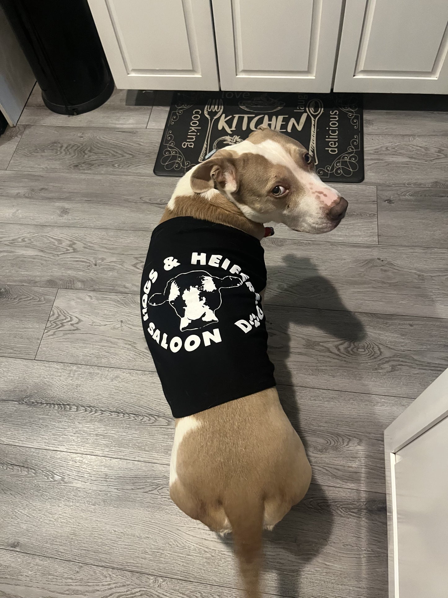 SALOON DOG DOGGY TEE