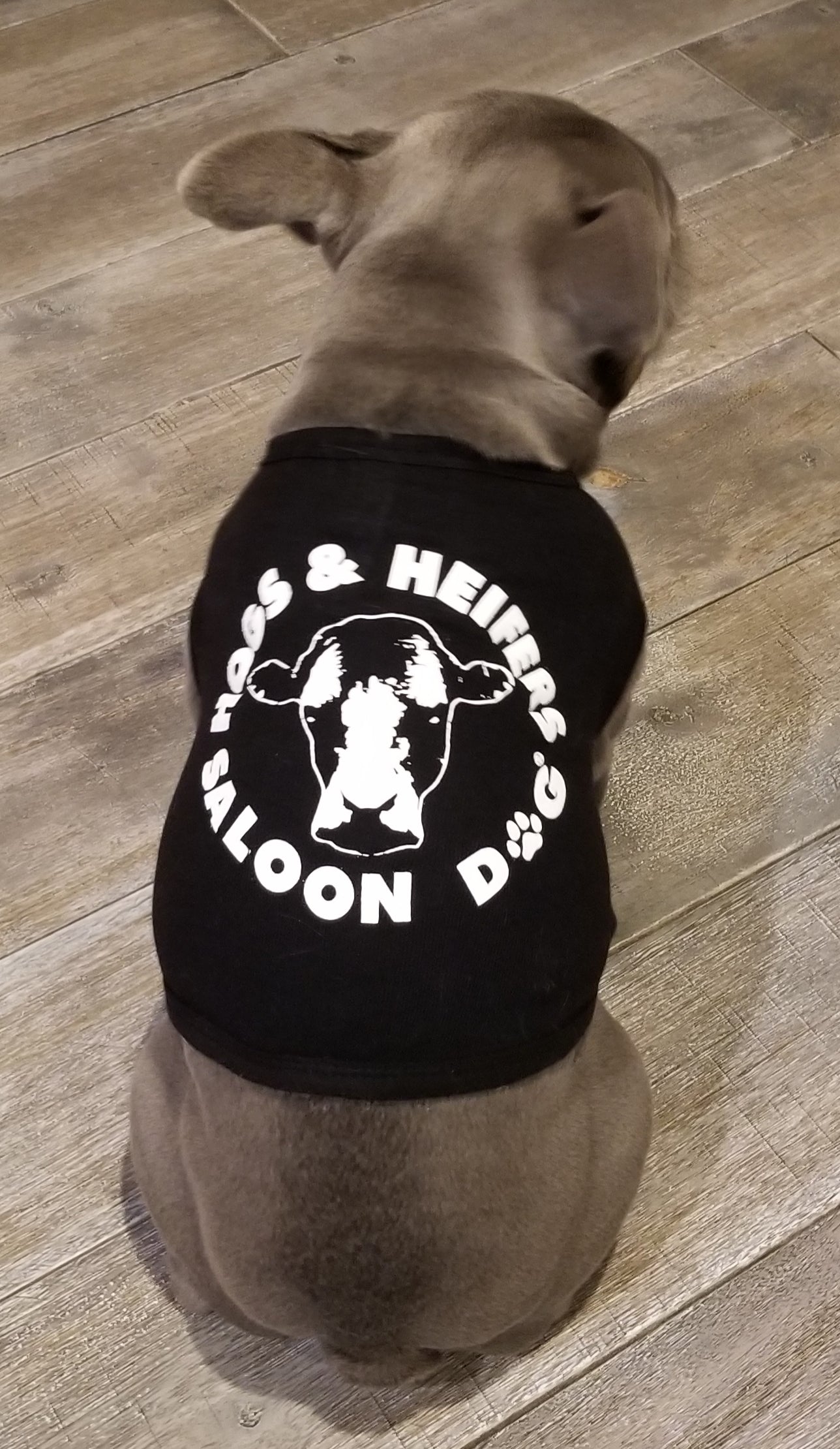 SALOON DOG DOGGY TEE