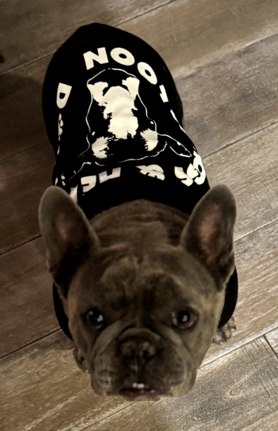 SALOON DOG DOGGY TEE